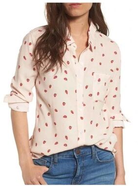 🍓Rails ROCSI Strawberries Print Long Sleeve Button Down Shirt Large EUC 🍓